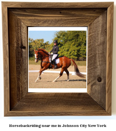 horseback riding near me in Johnson City, New York